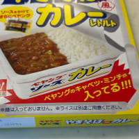ペヤングやきそば風 レトルトカレー！