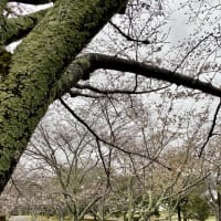 こんばんは💕