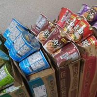 泊の食事。