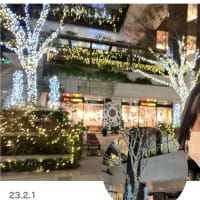 イルミネーションはいつまで