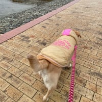 徳島旅行⑤