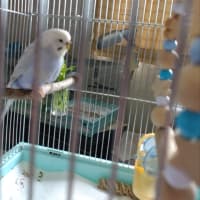 やってしまったのか？と、心配しました