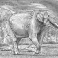 巨大陸獣「GFSマストドン」（G. F. S. Mastodon）と、北米マストドン科の進化史！【決定版】