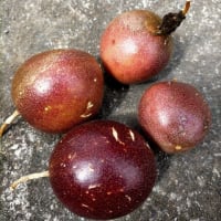 強烈な酸味！