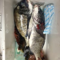 式見釣道場