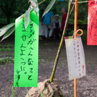 七夕の願い