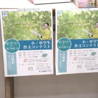 鮮やかな緑に、爽やかな白♪
