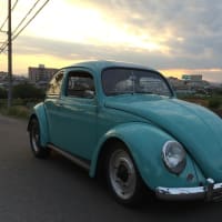 For sale 1964BUG
