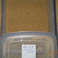 甘酒使用の米ヌカ醗酵エサ