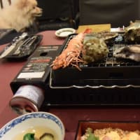 ペットスパホテル伊豆高原２泊目
