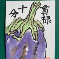 お野菜いろいろありがと😊