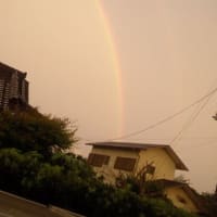 斎さん 大好きな霊能者さんでした お人形と同じ部屋で寝起きしている私 斎さん 大好きな霊能者さんでした お人形と同じ部屋で寝起きしている私