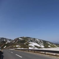 雪の回廊＠志賀草津高原ルート