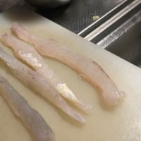 デカいのが釣れた‼️