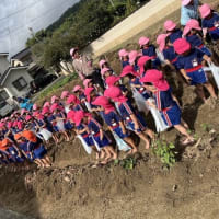 10月お誕生会＆芋掘り