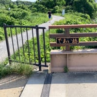 佐鳴湖への散歩