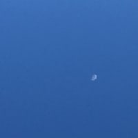 牛歩、侮るべからず。