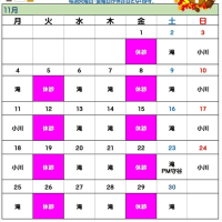 11月ペピカ水元どうぶつ病院の担当獣医師出勤スケジュールとなります。