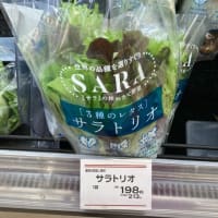 育てています
