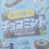 チョコたっぷりチョコミント蒸しケーキ（ファミリーマート）5/21発売