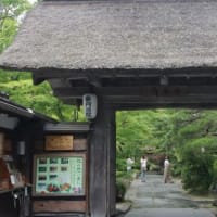 アイスクリームのさじ