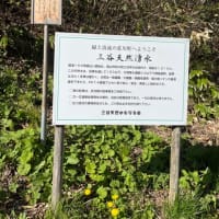天然水汲みに行って来た