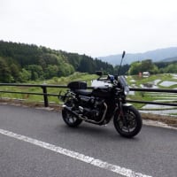 ハチ高原から砥峰高原辺りブラブラ