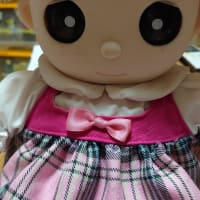 ネルルちゃんを買ってもらいました。
