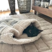 ほっこり