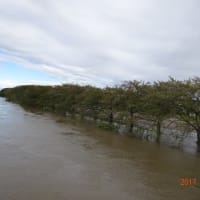 台風直後の元荒川