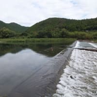 本日の海部川