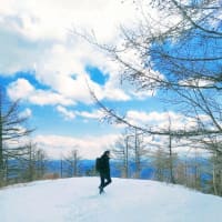石尾根縦走　千本ツツジ