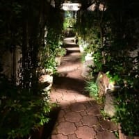  2025年4月5日　東京散歩（二回目）　その3　（神楽坂）