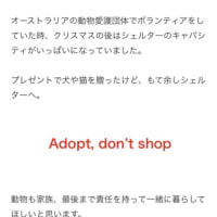 保護犬、猫を迎えようと考えてらっしゃる方へ