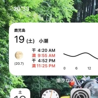 上げの河口で遊ぶ
