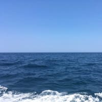 浦富海岸 クルージング