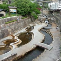 奇跡のレッスン 主婦 ときどき 笛吹き