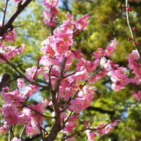 運命は判断の積み重ねで右にも左にもいく