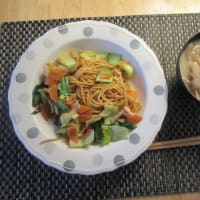 夫不在中のでき事と、一人ご飯。家庭菜園の厳しさ。