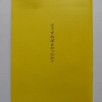 「どうすればよかったか?」(2024年　日本映画)