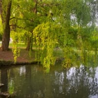 札幌、中島公園に想う。