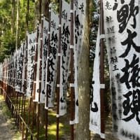 熊野古道　小辺路　踏破