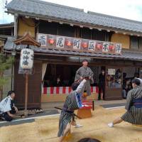 福井県「高浜七年祭」