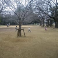 今年初かまど