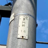 今年もあと半年【福岡市社交ダンス教室・福岡市社交ダンススタジオ・薬院、渡辺通、柳橋・福岡のダンススクールライジングスター】