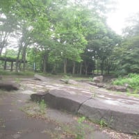 曇天蒸し蒸しの陽気で汗をかく