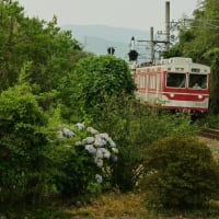 梅雨明けは過ぎたけれど