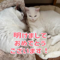 2025年　明けましておめでとうございます！