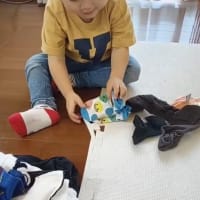 お手伝いが楽しみです
