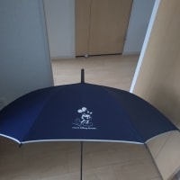 雨の日のレアアイテム？買ったけど使えない傘
